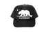 Carlsbad SurfBear®